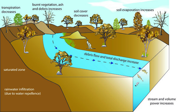 Post-Fire Water Quality