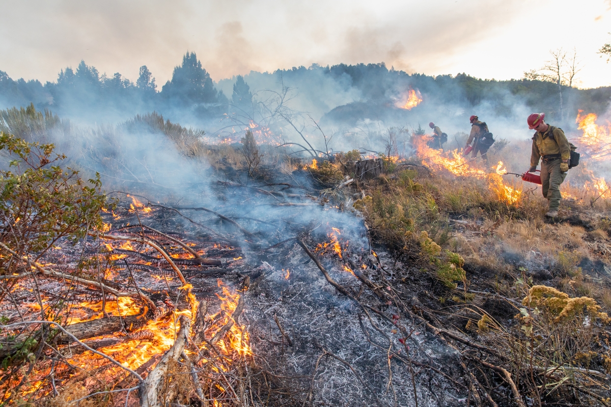 BLM Idaho Prescribed Fire