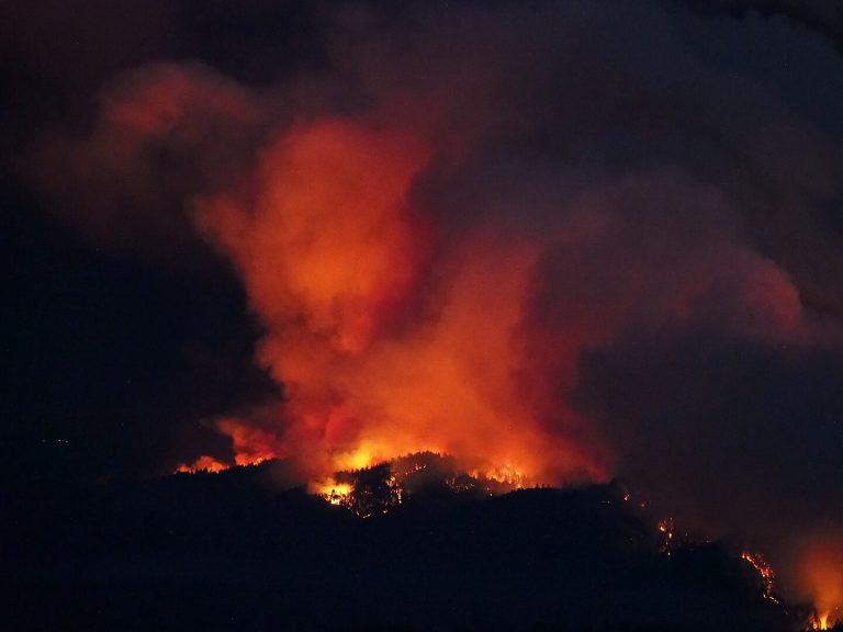 CZU lightning complex fire on Butano Ridge in the Santa Cruz Mountains, California